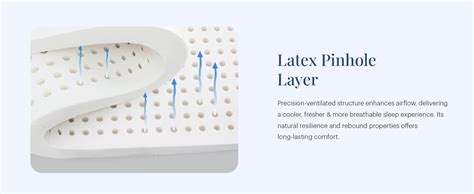 Wooden Street Penguin - Bamboo Bliss Natural Latex Mattress 8 Inch King ...