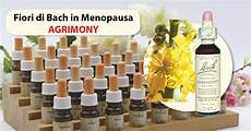 fiori di bach menopausa fiori di bach in menopausa agrimony menopausa fiori di bach menopausa fiori di bach in menopausa agrimony menopausa