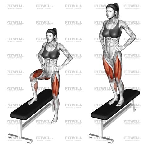 Image result for Forward Step Up Exercise