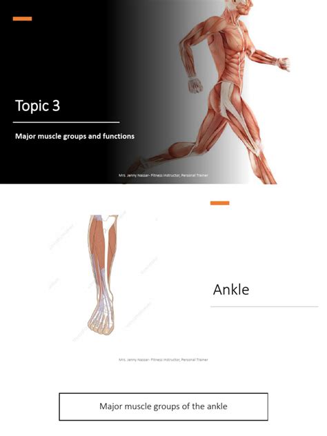 Image result for Muscle Groups and Functions