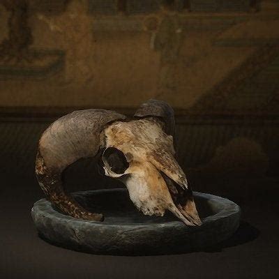 Black Myth: Wukong Guide : Soaks