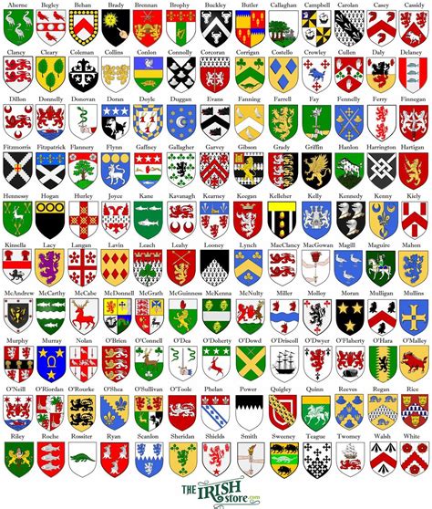 Irish Coat of Arms | Family crest symbols, Irish coat of arms, Coat of arms
