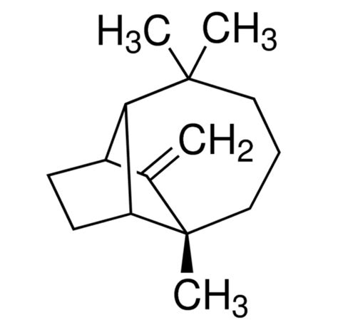 Exporter of Aromatic Chemicals, Chemicals and Pharmaceutical ...