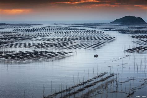 2018年中国水产品行业加工产量、进出口情况分析「图」_华经情报网_华经产业研究院