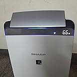 SHARP dehumidifier with Air Purifier I Plasmacluster Tech fight against ...