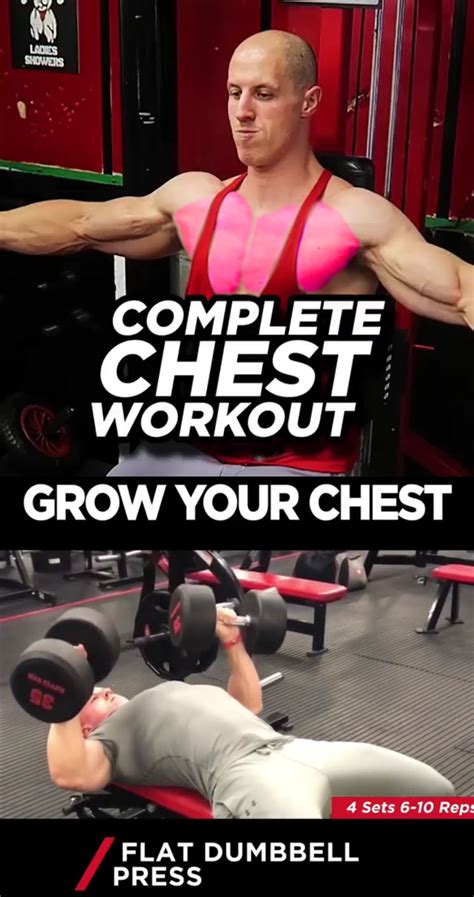 5 Spring Chest Pull Workout 的图像结果