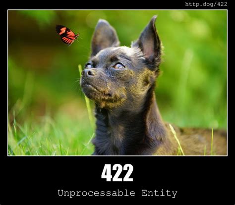 422 Unprocessable Entity - HTTP status code and dogs!