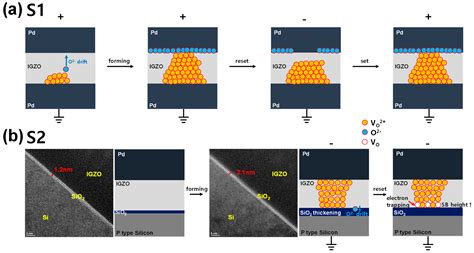 Conduction Mechanism Analysis of Abrupt- and Gradual-Switching InGaZnO ...