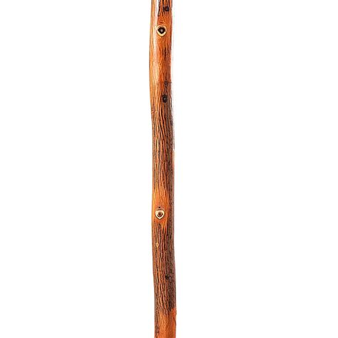 Layered Natural Hiking Staff | Fashionable Canes