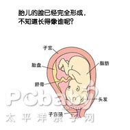 孕3月男女胎儿个性藏得深，摸清B超这几个数据，胎儿就没啥秘密了 - 百度宝宝知道