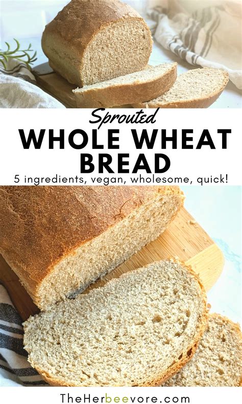 Organic Sprouted Whole Wheat Flour Bread Recipe | Besto Blog