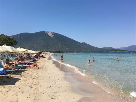 The Best Hotel Deals in Drosia (May 2025) - Tripadvisor