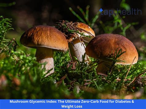 Mushroom Glycemic Index: The Ultimate Zero-Carb Food for Diabetes ...