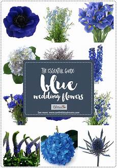 Names Of Blue Flowers For Weddings by Essential Blue Wedding Flowers Guide Types Names Names Of Blue Flowers For Weddings