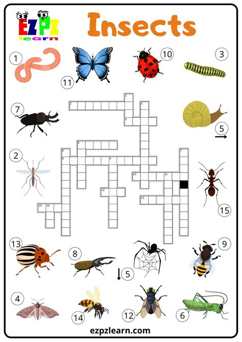 Insects Bugs - Ezpzlearn.com