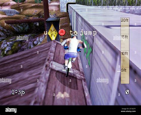 Dave Mirra Lauren Blackwell Mirra