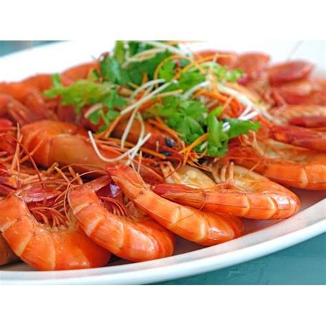 Image result for Gamba Tutorial