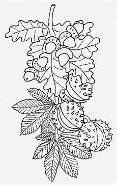 kostenlose malvorlagen ausmalbilder herbst malvorlagen herbst malvorlagen kostenlose malvorlagen ausmalbilder herbst malvorlagen herbst malvorlagen