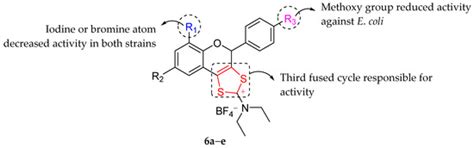 Antibacterial Effects of Flavonoids and Their Structure-Activity ...