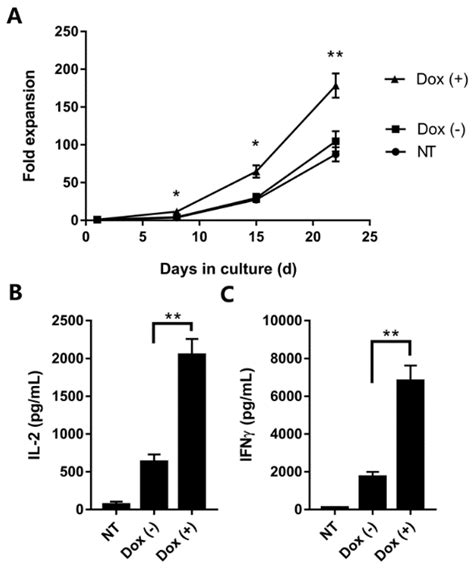 Development of Inducible CD19-CAR T Cells with a Tet-On System for ...