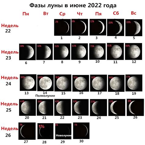 Лунные дни и их значения в лунном календаре - подробный гид