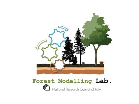 Forestry Model 4 的图像结果