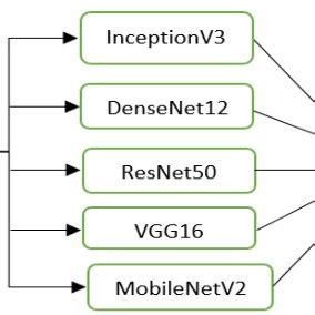 Image result for Classification Block Diagram