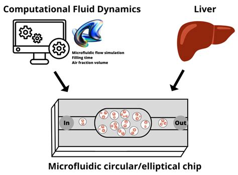 Design, Simulation, and Evaluation of Polymer-Based Microfluidic ...