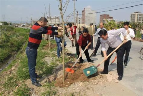 揭阳市环保局积极开展义务植树活动-工作动态