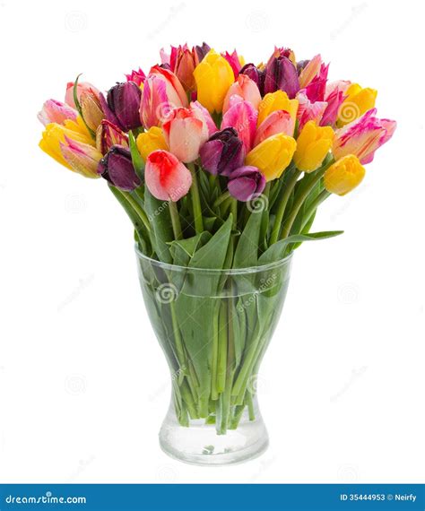Fresh Tulips In Vase Stock Photos - Image: 35444953