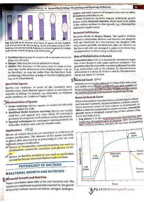 Doc Scanner 14 Sept 2024 9-18 am - CHAPTER 3 General Bacteriology ...