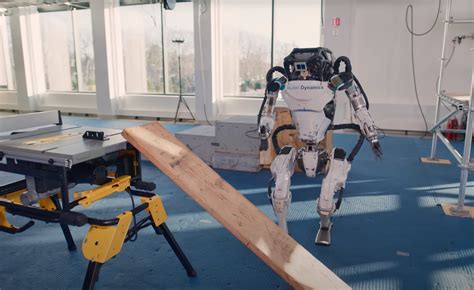 Atlas 图片 的图像结果