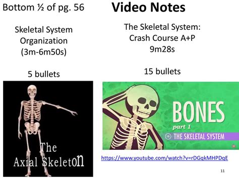 Image result for Crash Course Skeletal System