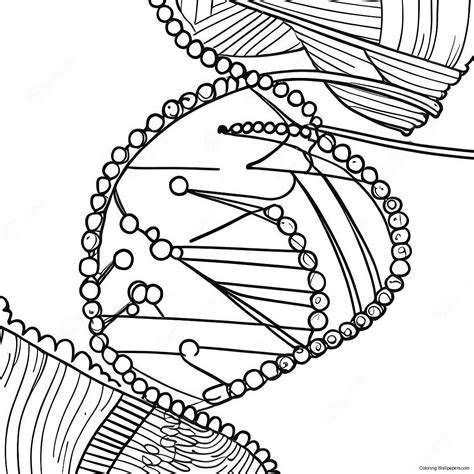 DNA Coloring 的图像结果