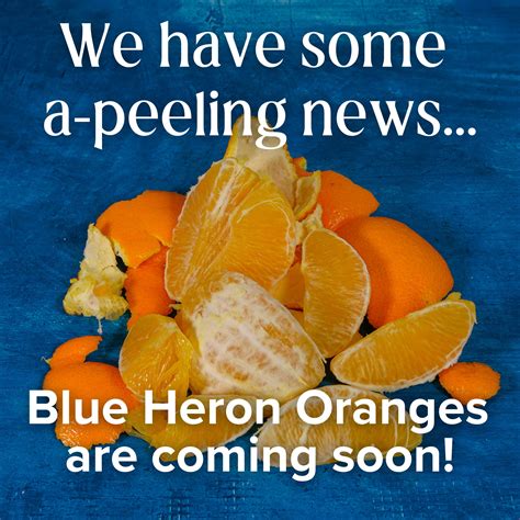 Ukiah Natural Foods Co-op (@ukiahnaturalfoods) • Instagram photos and ...