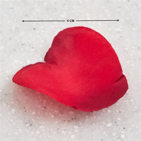 Buy Gloria Hover Set of 40 Fabric Floating Rose Petals from Home Centre ...