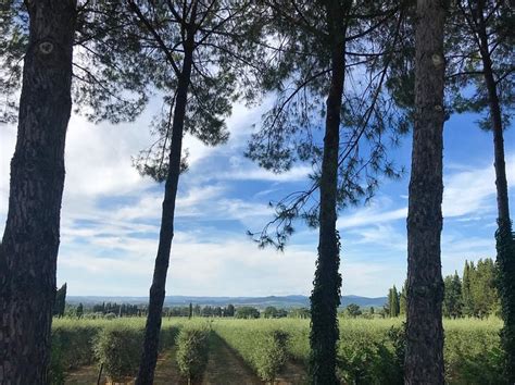 ALBERGUCCIO RANCH HOTEL (Scarlino) - Ranch Reviews, Photos, Rate ...