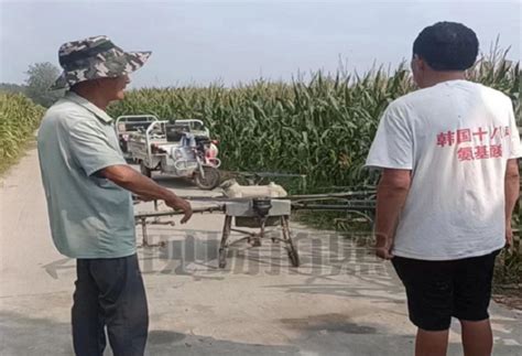 闻集乡：利用无人机“一喷多促”保障玉米丰产丰收-乡镇快讯-虞城网官网