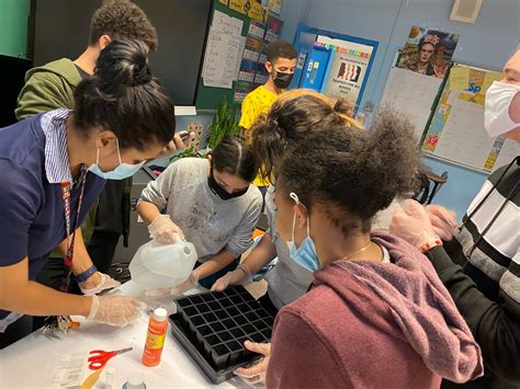 Improve Community 的图像结果