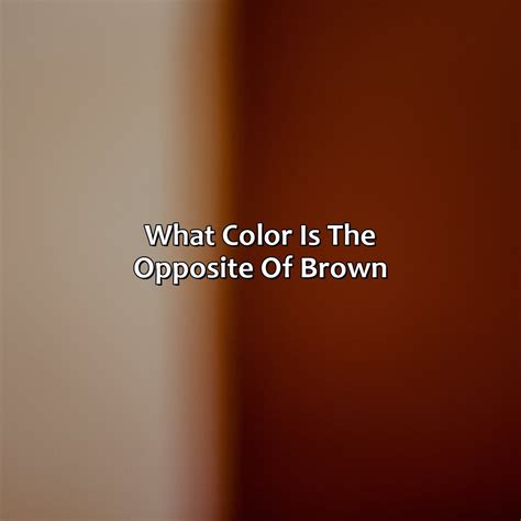 What Color Is Pale - colorscombo.com