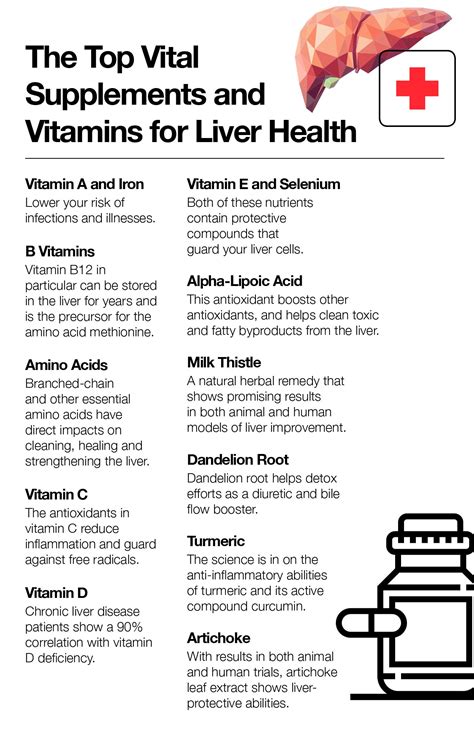 The Top Vital Supplements and Vitamins for Liver Health – The Amino Company