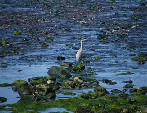 23 Positive Words Ending In 'ae': Vitae Of Optimism