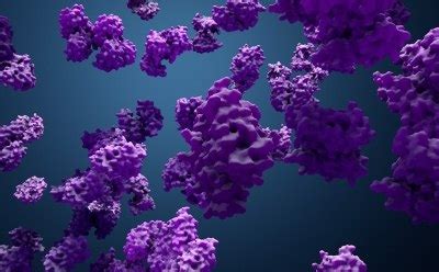 Protein Biology