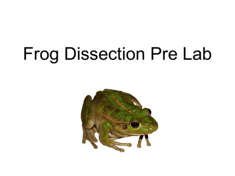 Image result for Dissecting a Frog Lab