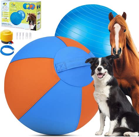Amazon.com : Herding Ball for Dogs - 18" Dog Herding Ball, Dog Agility ...