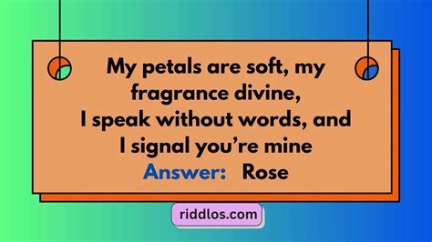 255+ Valentines Day Riddles: Fun and Romantic Twists to Solve