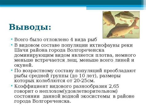 Линь: описание рыбы, места обитания, что ест, популяция