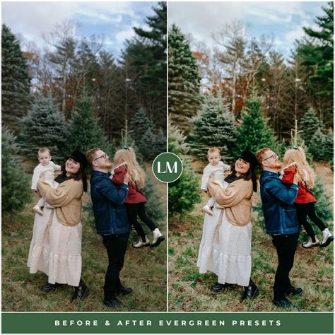 Christmas Presets — Rich Greens, Clean Color, Winter Aesthetic Presets ...