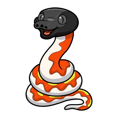 Image result for Red Python Pic