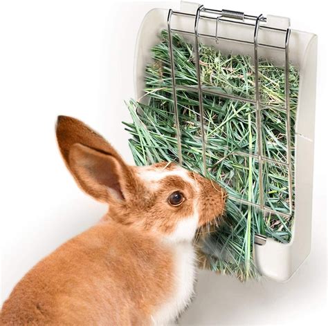 Top 5 Best Hay Feeders For Rabbits - In Depth Reviews
